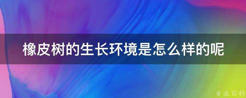 橡皮樹的生長環境是怎麼樣的呢