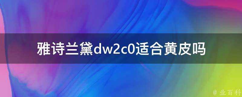 雅詩蘭黛dw2c0適合黃皮嗎