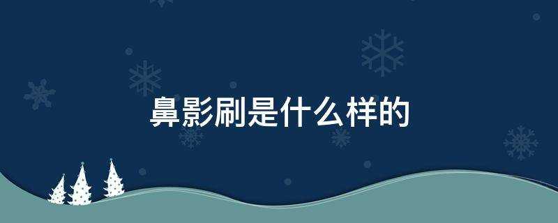 鼻影刷是什麼樣的