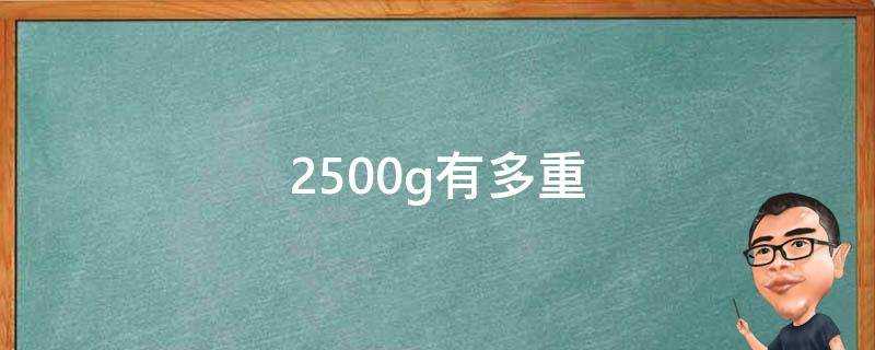 2500g有多重