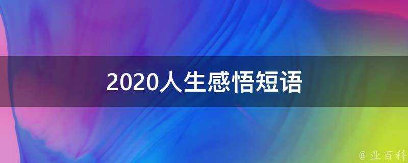 2020人生感悟短語