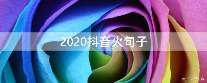 2020抖音火句子