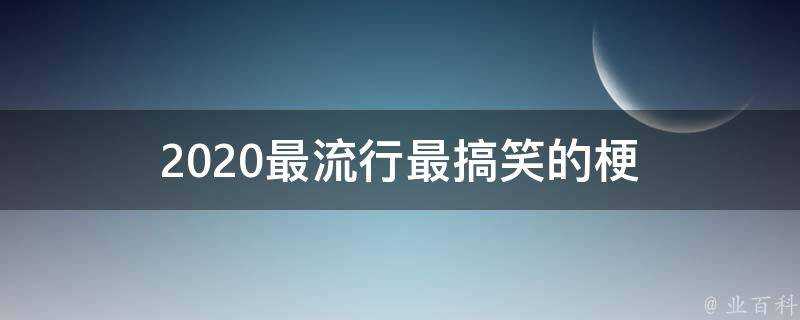 2020最流行最搞笑的梗