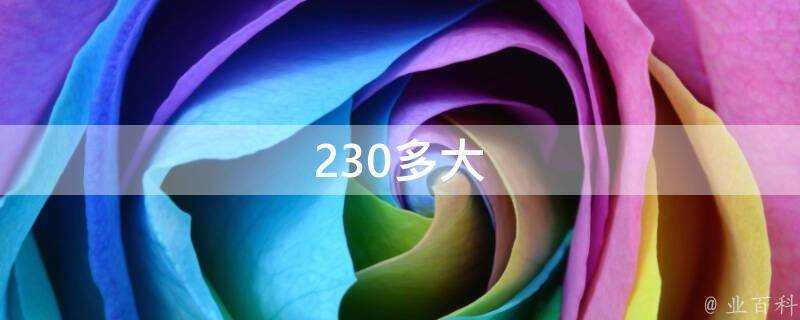 230多大