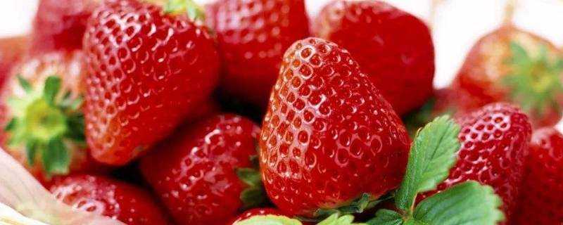 草莓發黴了能吃嗎
