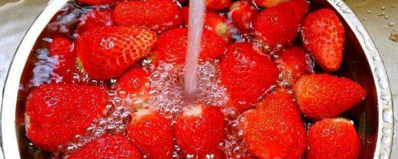 草莓用鹽水泡多久