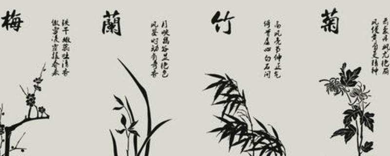 梅蘭竹菊的象徵意義和精神