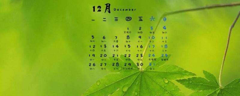 農曆是陰曆還是陽曆