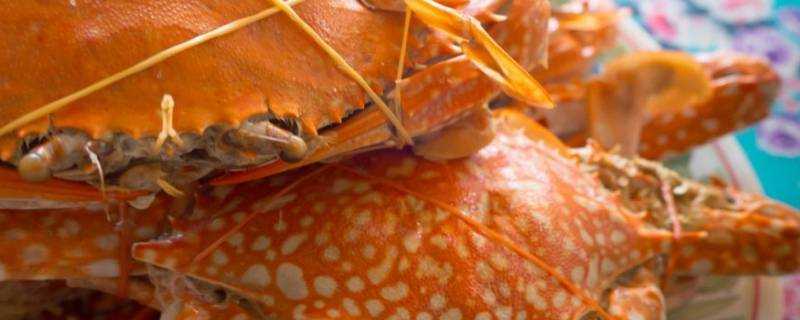 熟螃蟹冷凍儲存多久